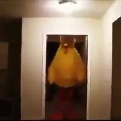 Meme Folder on Reels