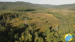 9.5K views · 224 reactions | What site in West Virginia is known for its unusual ecology? 樂 #WVPBEducation #WVTrivia | West Virginia Public Broadcasting | Facebook