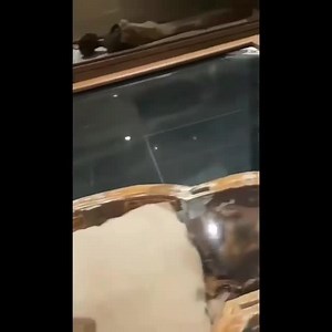 Room of royal mummies in the Egyptian Museum in Cairo. | Ancient Wonders of Archaeology, Art History & Architecture