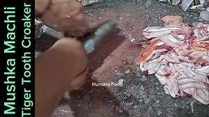 Freshest Mushka Machli | Tiger Tooth Croaker Fish Cutting | #fish #fishes #seafood #fishcuttingvideo #fishcuttingskills #mushkamachli #fishvideos #fishviral #freshfish #fishvlog #fishvideo #tigertoothcroaker #croaker #croakerfish #FreshFishFromTheSea #fishcutt #fishcutting #raheelrauf #karachi #karachidiaries #karachifishing | Fresh&Frozen Seafood