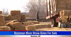 Bozeman Maze straw bales are for sale