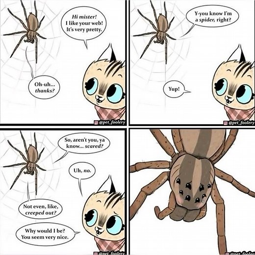 credit pet_foolery #fun #funtimes | Wholesome Comics