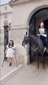 Respect #fypシ #kingsguard #respect #horse