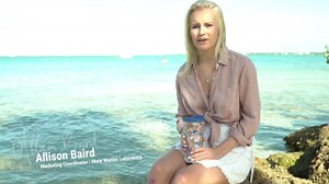 Tervis Traveler NFL Jacksonville Jaguars - Night Game Triple Insulated Tumbler Travel Cup Keeps Drinks Cold & Hot, 20oz, Stainless Steel