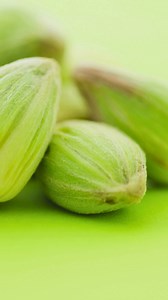 Patanjali creamfeast elaichi biscuit is a cream-filled sandwich cookies. It has an amazing taste and provides more fiber and nutrition. #PatanjaliBiscuit #elaichibiscuit | Patanjali Biscuits