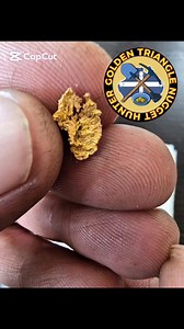 Gold Nugget Wednesday.. #goldentriangle #goldnuggets #gold #prospecting #Victoria #goldfields #Aussie #goldhunters #humpday | Golden Triangle Nugget Hunter