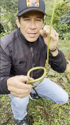 Nature always surprises me. 😮🌳✨ #Nature #Surprise #Beauty #shorts