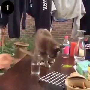 So funny..... | Witty