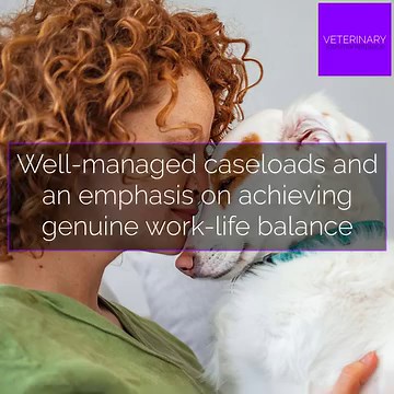 Veterinarian ][ Mixed Animal ][ Mount Gambier South Australia 喙 + ...