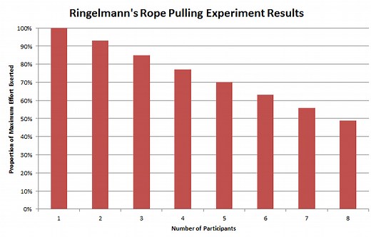 Social Loafing (Definition   Examples)