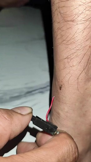 The Gym Bro Mosquito: Flexing Before Biting! . . . . . . #MosquitoGains #BuzzLife #GymBroBites | Primal Juicy