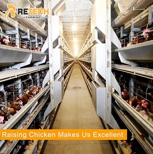 [Hot Item] Durable Fully Automatic Multi Tiers H Type Small Chicks Brooder Cage for Growing Laying Hens Chicken