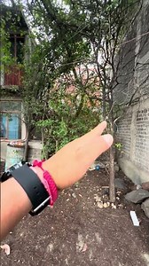 🏚️ From abandoned house to new home: this is how the challenge begins