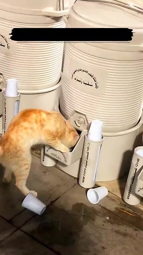 14K views · 780 reactions | Connect your kids with Quran  -7 Days...