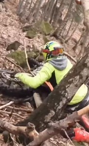 4.7K views · 34 reactions | Nature is full of surprises!!! #nature #surprises | Wild Nature | Facebook