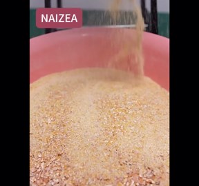 NAIZEA Electric Grain Mill Grinder, 3000W Wet & Dry Corn Mill Grinders,Commercial Flour Mill Machine with Funnel, Feed Grinders for Corn, Wheat, Rice, Coffee, Cereals(Wet Dry Grinder)