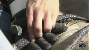 Watch this 19-year-old cowboy ride an 89-point bull to punch his NFR ticket