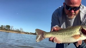 Truck Tag Released on Logan Martin. 2021 Coosa River BassCashBash. March 1st thru July 4th. 200 Cash Tags each $1,000 ($1,500 with Bonus T-shirt) Phoenix Boat Tag Ram Truck Tag. Logan Martin Lay Lake Mitchell & Jordan. Only $50 to participate or $70 for the Bonus Entry with T-shirt. Over Four Months to land a tag and cash in on your share of $400,000 in Tagged Bass on the Coosa. Don’t Be “That Guy” who misses out! Visit BassCashBash.com or stop by any one of our Registration Stations before you 