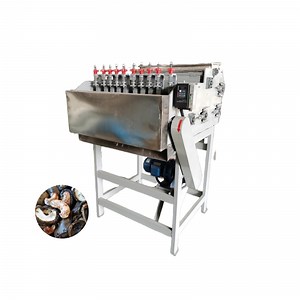 [Hot Item] Advanced Automatic Cashew Nut Shelling Machine