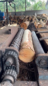 Clean wood veneer peeling 891 #woodpeeling #woodpeel #machine #woodworking #reels #peeling #viral #viralvideo | Page home