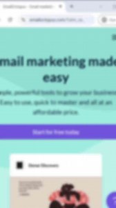 Why EmailOctopus Tops the Charts in Email Marketing