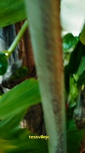 Panalangin sa Pagtatapos ng Araw #prayers #prayersforall #PraiseGod #ThankYouLord #LordHearOurPrayer #prayerreels #reelsfypシ #reelsfbシ #fbreels2025ツ #fbpost2025シ #facebookreelsviral | Teresita Gambe Villejo