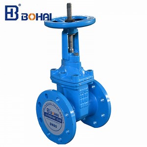 [Hot Item] Ductile Iron Rising Resilient Seat Control Gate Valve