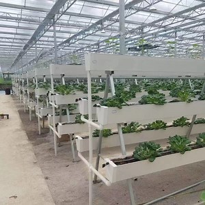 [Hot Item] Greenhouse Vertical Hydroponics Smart Agriculture PVC Hydroponics Gutter