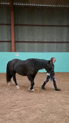 When you outgrow your pony and have to get a bigger one.. #miniatureshetlandpony #shetlandpony #cutepony | Pony Fun with Clover & Jasmine