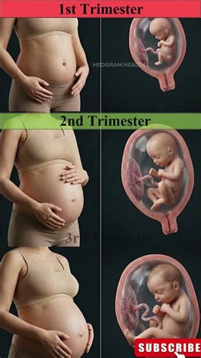 How big is the baby right now? 🤔👶 Fetal growth v:s Belly Progression