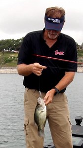 4.6K views · 150 reactions | GIANT CRAPPIE!!! Check out this MASSIVE crappie that Wade caught on a swimbait while fishing for bass at Canyon Lake. #TeamOutdoors #BassProShops #RangerBoats #FishGarmin #SunlineAmerica #BigBiteBaits #GamakatsuUSA #Fishing #Crappie #FishCatch | Fisherman's Handbook | Facebook