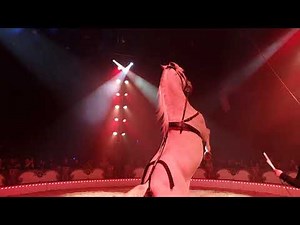 La dernière séance SPECTACLE COMPLET DU CIRQUE DE STEFAN AGNESSEN dimanche 5 janvier