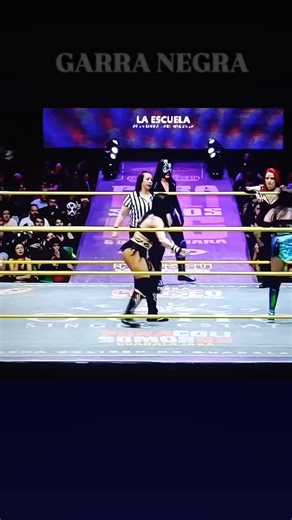 GARRA NEGRA CMLL