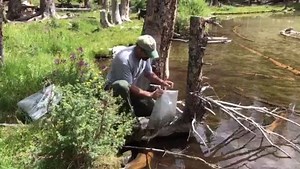 In August, Upper Snake Region Fisheries Staff and Volunteers stock some mountain lakes with fingerling trout. We manage approximately 45 mountain lakes in the Upper Snake Region, and they can provide fun fishing opportunities in beautiful areas of the region. If you have time this fall, consider a hike into one of these Idaho Gems, and take your fishing rod! | Idaho Fish and Game Upper Snake