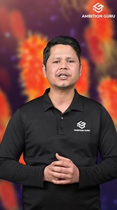 🎥 Understanding Peptic Ulcer Disease 🔍 Peptic ulcer disease affects millions worldwide, causing discomfort and complications if untreated. Pharmacy 💊 - Mohd Rasid Shah ✨ #PepticUlcerDisease #CEEpreparation #MedicalEntranceExam #AmbitionGuru | Entrance Preparation - Ambition Guru