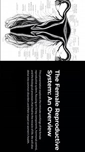 The Female Reproductive System: Structure, Functions, and Hormonal...