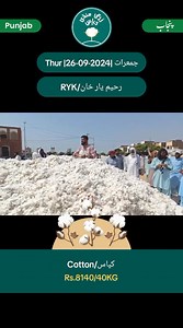940K views · 28K reactions | Commodity : Cotton Date : 26th Sep 2024...