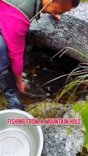 Fishing from a Hidden Mountain Hole! ⛰️🐟 Epic Catch in the Wild #fishing #shortvideo #holefishing 🌿