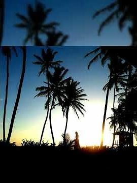 Tribbing @jossielafaurie (AFROBEAT,DANCEHALL,REGGAETON,AFRODANCEHALL) #jossielafaurie SONG 2