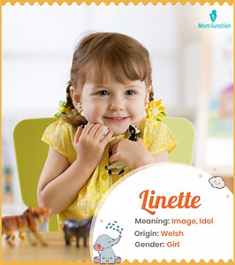 Linette Name Meaning, Origin, History, And Popularity