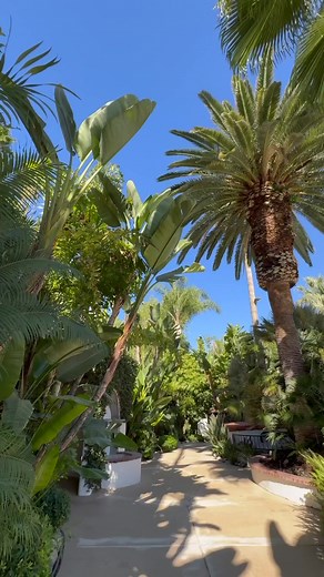 359 reactions · 28 shares | Experience the enchantment of winter at #GlenIvyHotSprings with our Winter Warm-Up Package! ❄️ Delight in admission, a luxurious 50-minute massage or facial, a cozy robe and a delicious sweet treat. To reserve, call 1.888.GlenIvy! Available Monday through Friday in the month of January. | Glen Ivy Hot Springs | Facebook