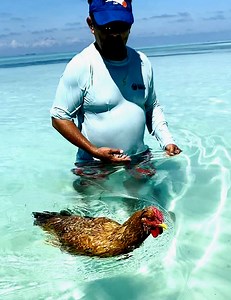 This chicken also has the right to enjoy a pleasant swim 😁😎 | WTVideo
