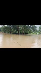 Nan komin Mafran men koman dlo pran lari Laboubez nan period tan melissa . | Marfranc ka bél