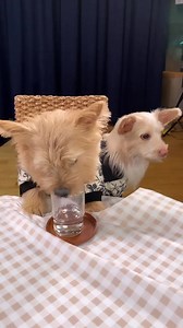 6.1K views · 1.2K reactions | *momo Instagram story update* - Nayeoncé Knowles | Everything TWICE | Facebook