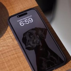 Actor and Model Sam Asghari didn't just like FLEXICON, he loved it! You will love it too. PRE ORDERS NOW on KICKSTARTER!!! Go to getflexicon.com to lock in your spot. #resistancebands #bodylastics #flexicon | Bodylastics