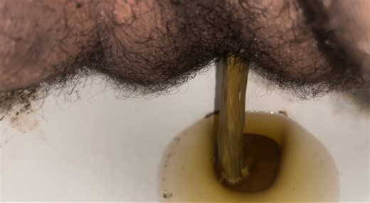 Bf poops smooth long turd that stinks