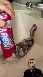 1.3M views · 2.7K reactions | Nettoyage des déchets du lavabo 朗 #france #art #trendingreels #viralreels #viral #funny #reelsfypシ #reelsviralシ #reels | PokoHistoires | Facebook