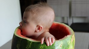 9.2K views · 240 reactions | Fur University on Reels | Facebook