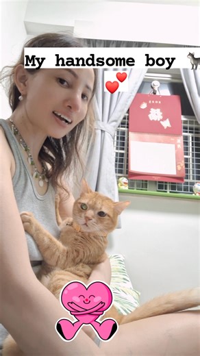 Watching tvb drama series With my boy🦋💓🐈 #catlover #petlovers | Barbie Nathazha