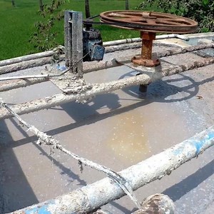 Egg tray from waste paper | Kitchen Craft & DIY